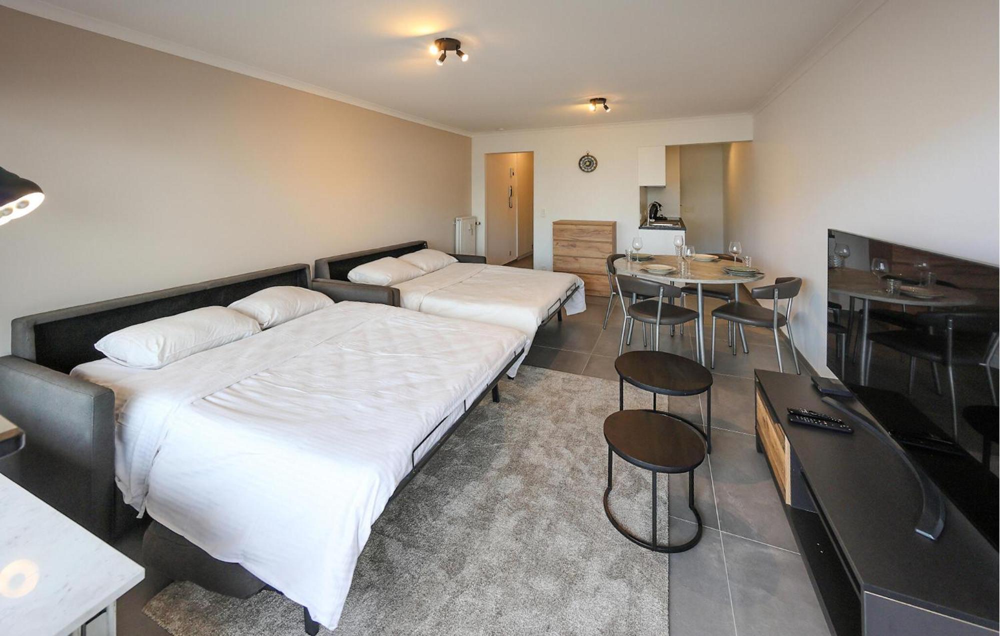 Awesome In With Wifi Appartement Oostende